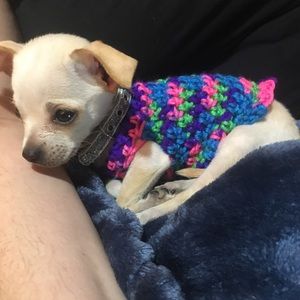 Meet your Posher, Anna